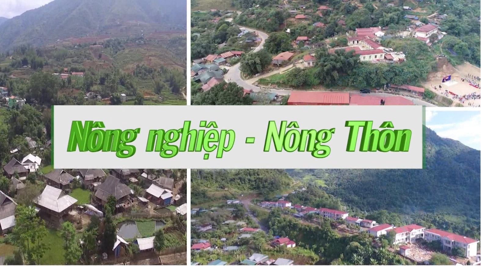 Nông nghiệp - Nông thôn, ngày 16-05-25