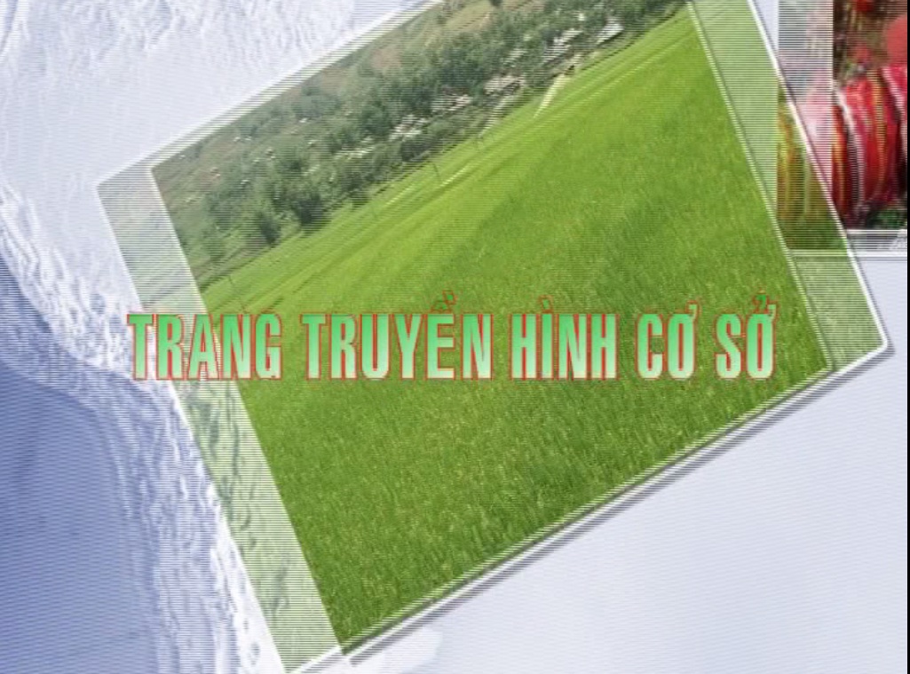 Trang truyền hình cơ sở 19-12-2025