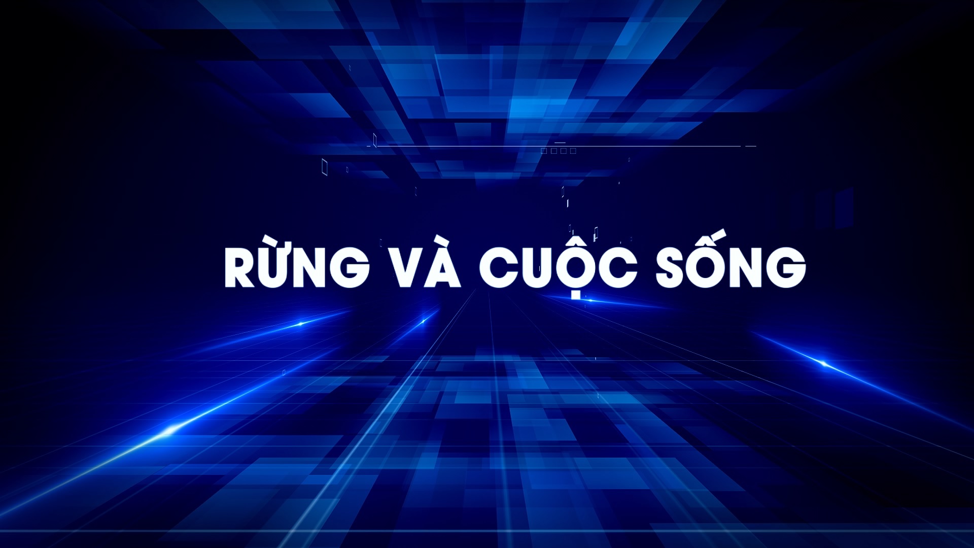 Rừng và cuộc sống 05-08-2026